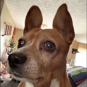 Meet your Posher, Kyler